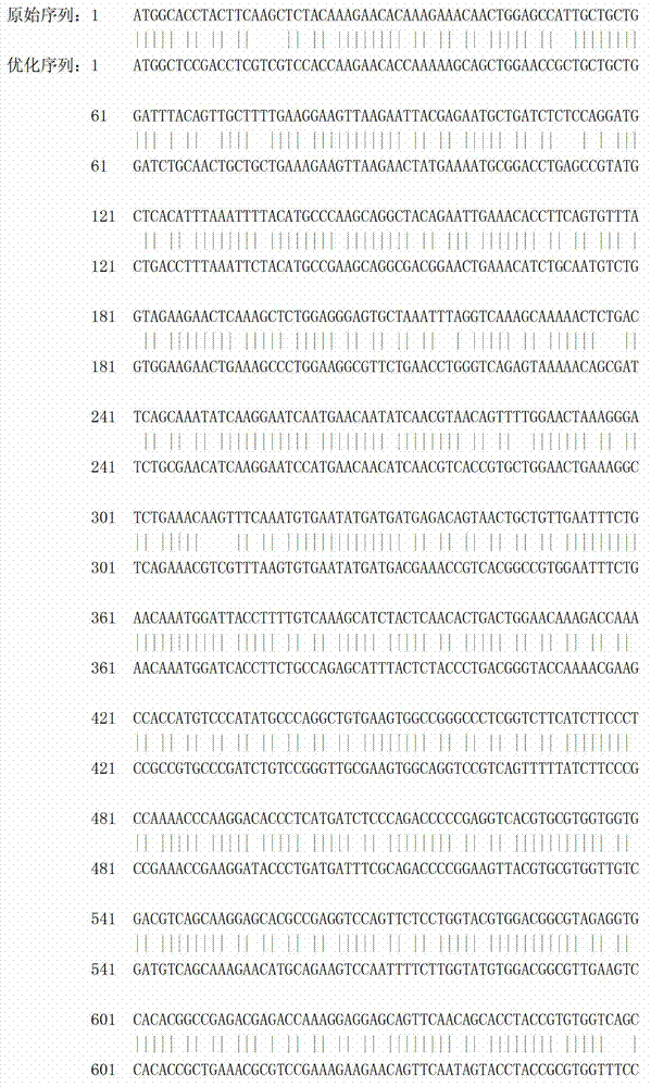 Recombinant porcine IL2-Fc (interteukin-2-Fc) fusion protein as well as encoding gene and expressing method of fusion protein