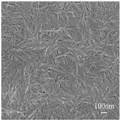 Method for preparing CNC (cellulose nanocrystal) by inorganic molten salt-trace acid co-promoted system