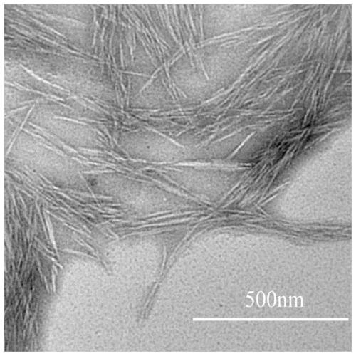 Method for preparing CNC (cellulose nanocrystal) by inorganic molten salt-trace acid co-promoted system