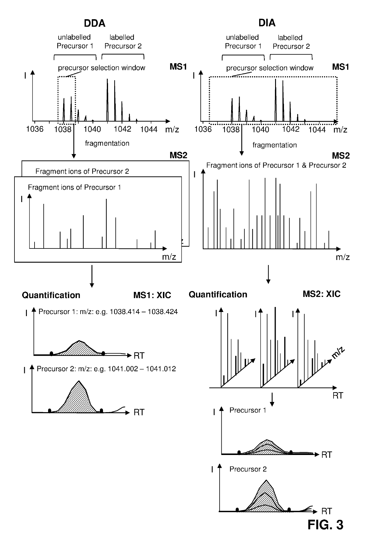 Labelled compounds and methods for mass spectrometry-based quantification