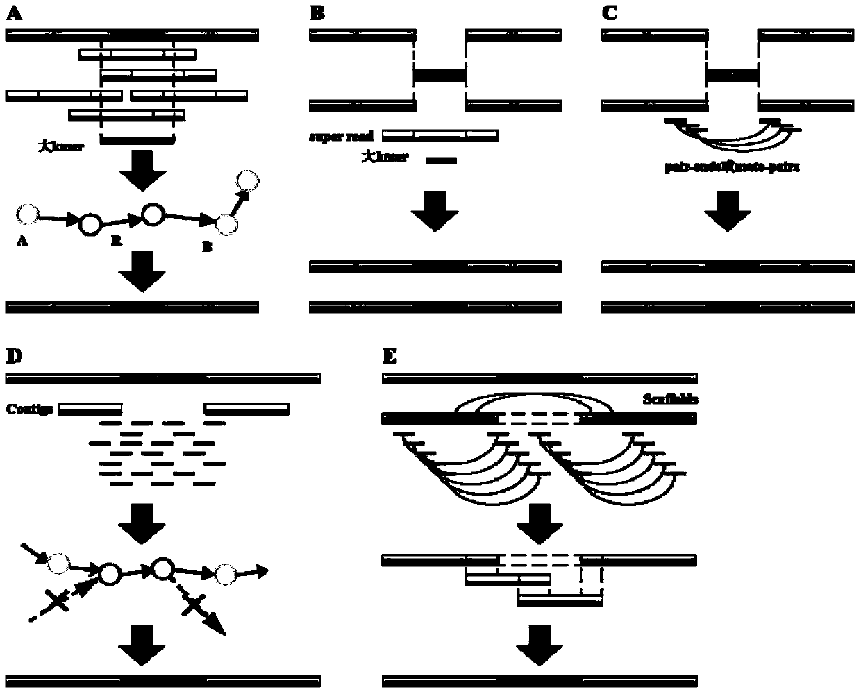 Genome de novo assembly method based on high-throughput sequencing data