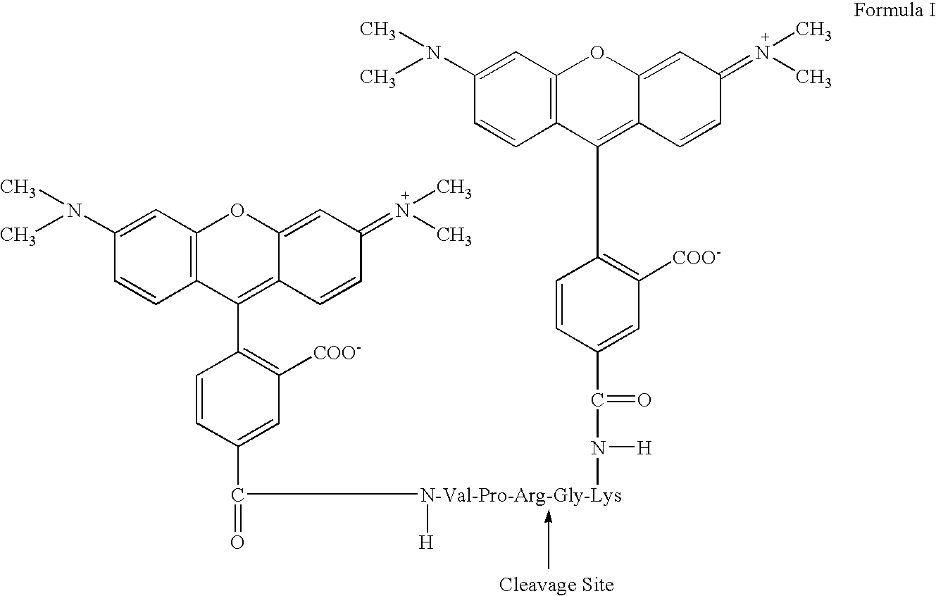 Fluorogenic protease substrates based on dye-dimerization