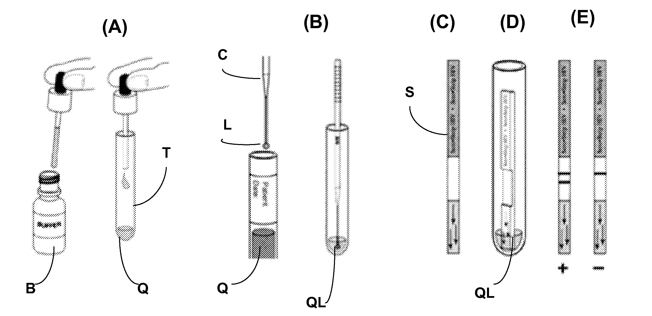Integrated Sample Collector And Tester For Bodily Fluid