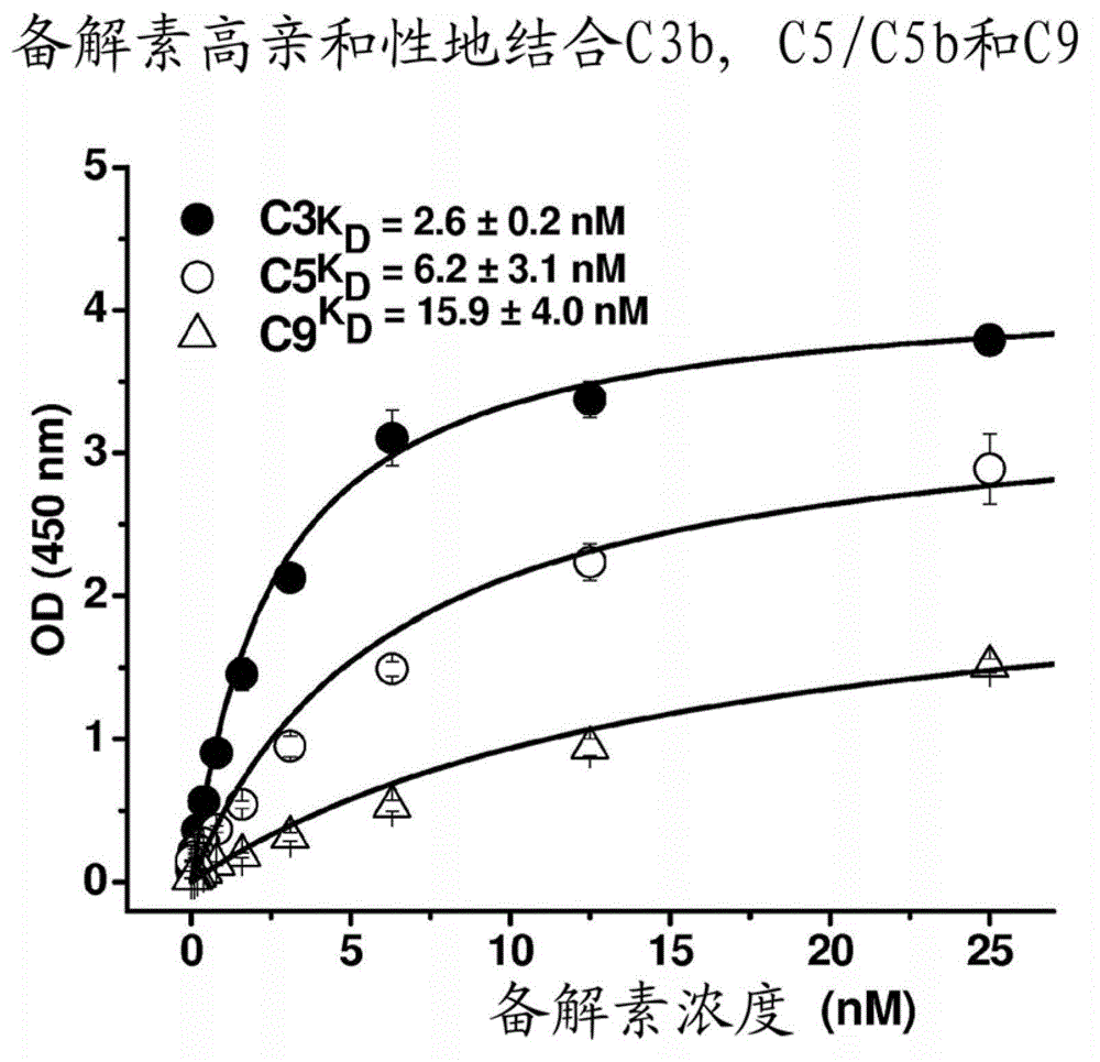 A method for inhibiting alternative pathway mediated disorders with anti-properdin antibodies that inhibit c5 interactions with properdin