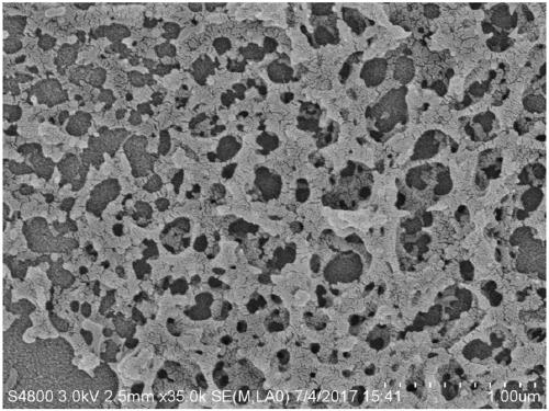 Modified chitosan-alginate-dragon's blood composite nano hemostatic material and preparation method thereof