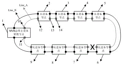 Redundant design method for multifunction vehicle bus (MVB) network system