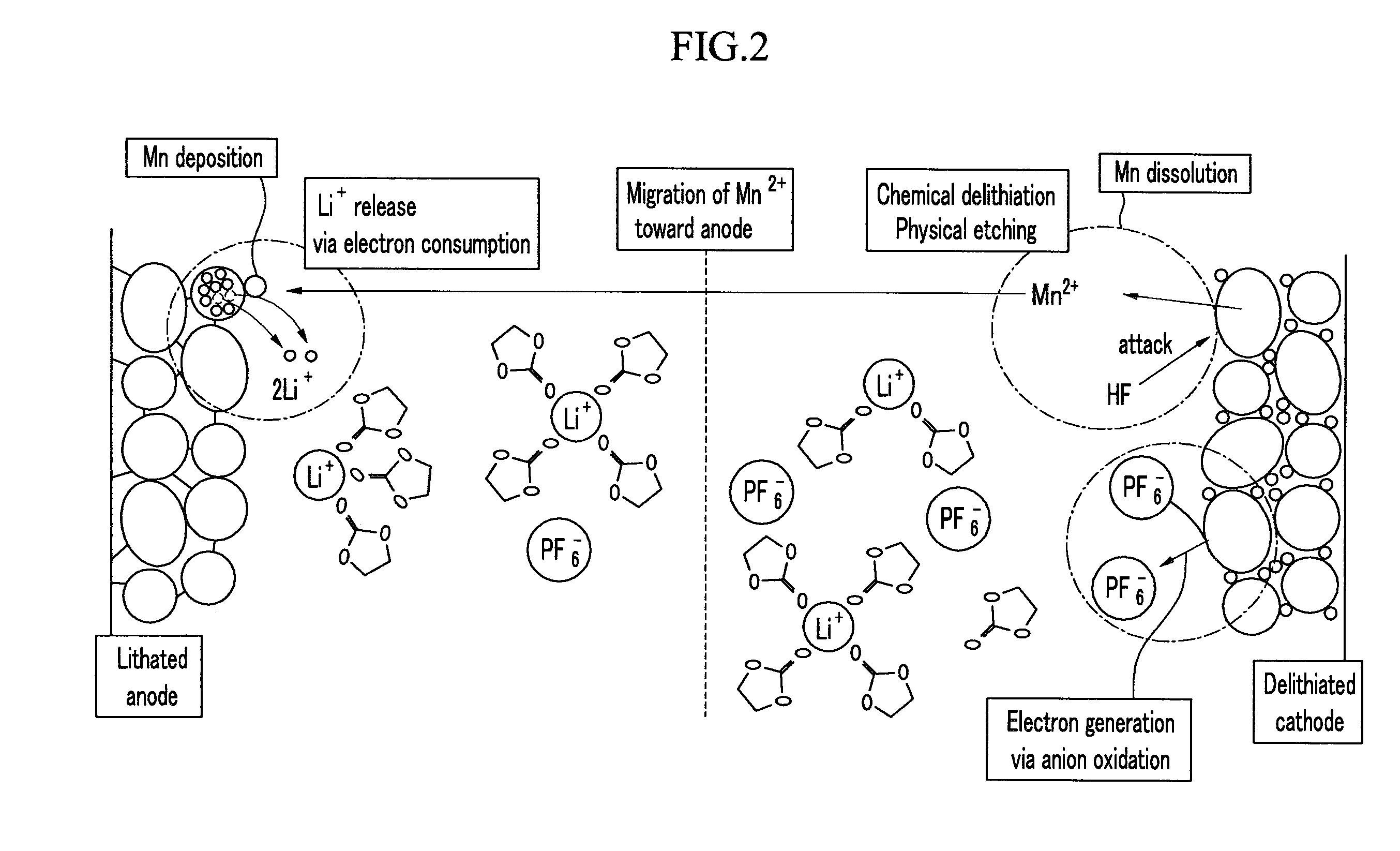 Binder and positive active material composition for rechargeable lithium battery, and rechargeable lithium battery including same