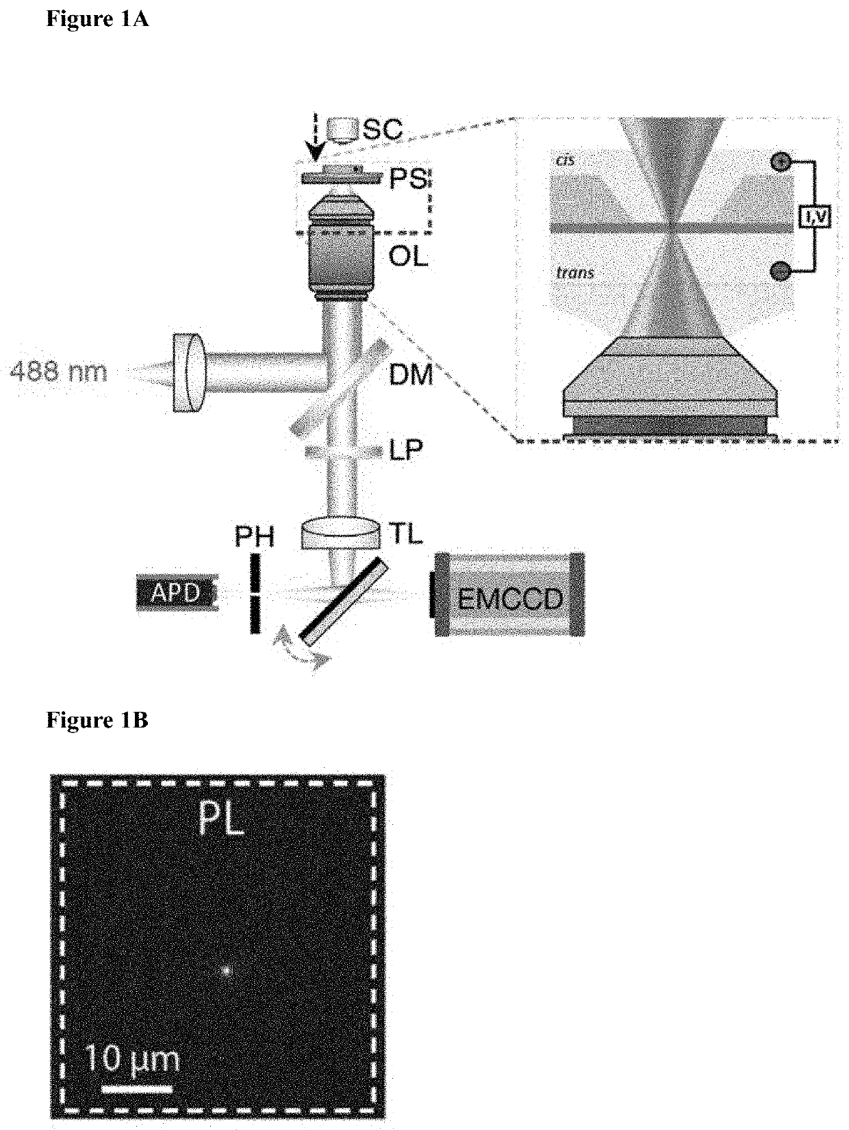 Nanopore fabrication