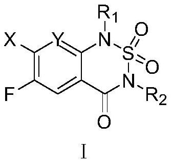 Substituted thiadiazinone dioxide and preparation method thereof, weeding composition and application