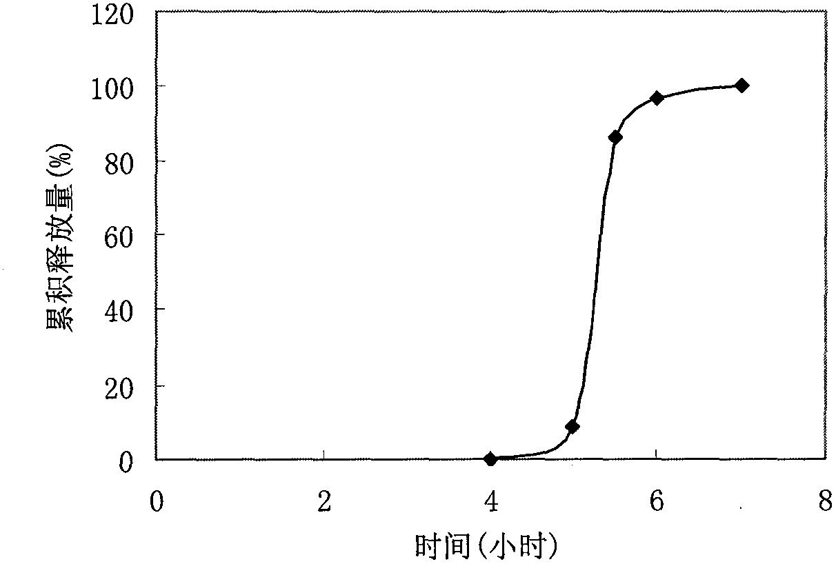 Verapamil hydrochloride delayed-release tablet and its preparation method