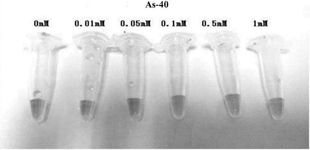Method and application of quickly screening arsenic ion aptamers