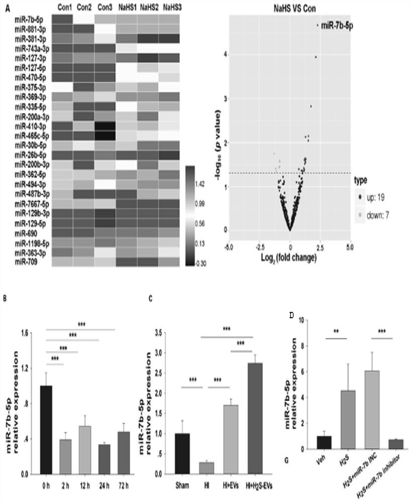 Application of hydrogen sulfide-modified mesenchymal stem cell extravesicles as miRNA delivery vehicles in hypoxic-ischemic brain injury