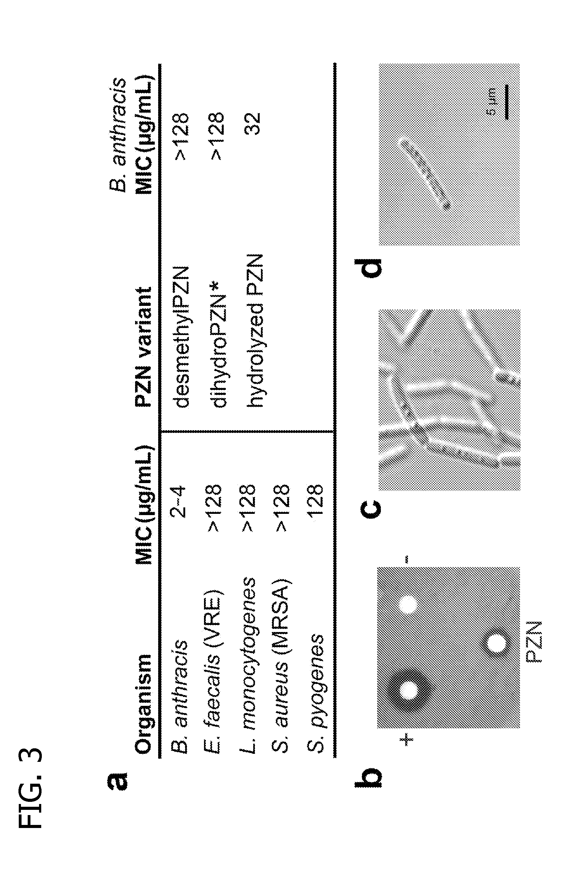 Antibiotics and methods for manufacturing the same