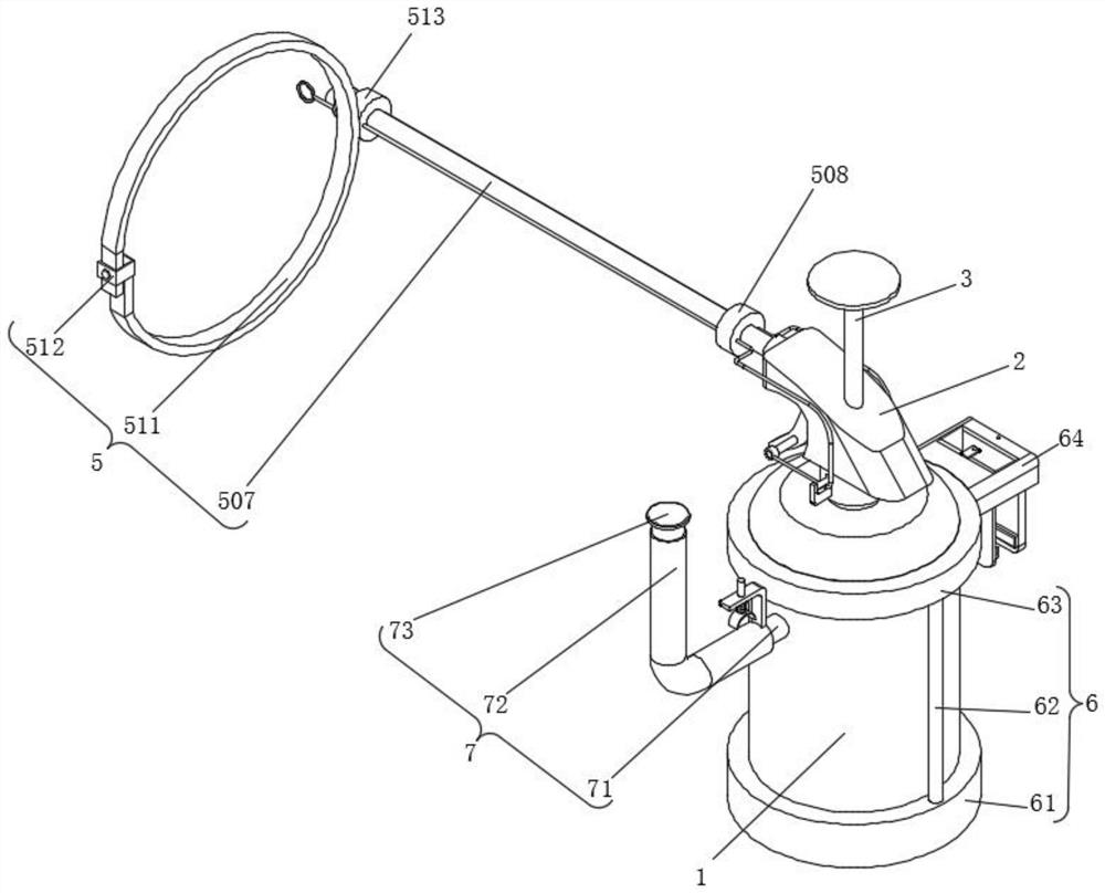 Household disinfectant and preparation method thereof