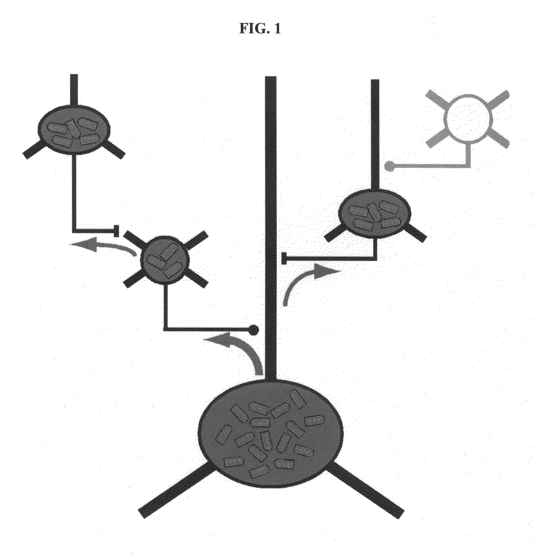 Compositions and methods for monosynaptic transport