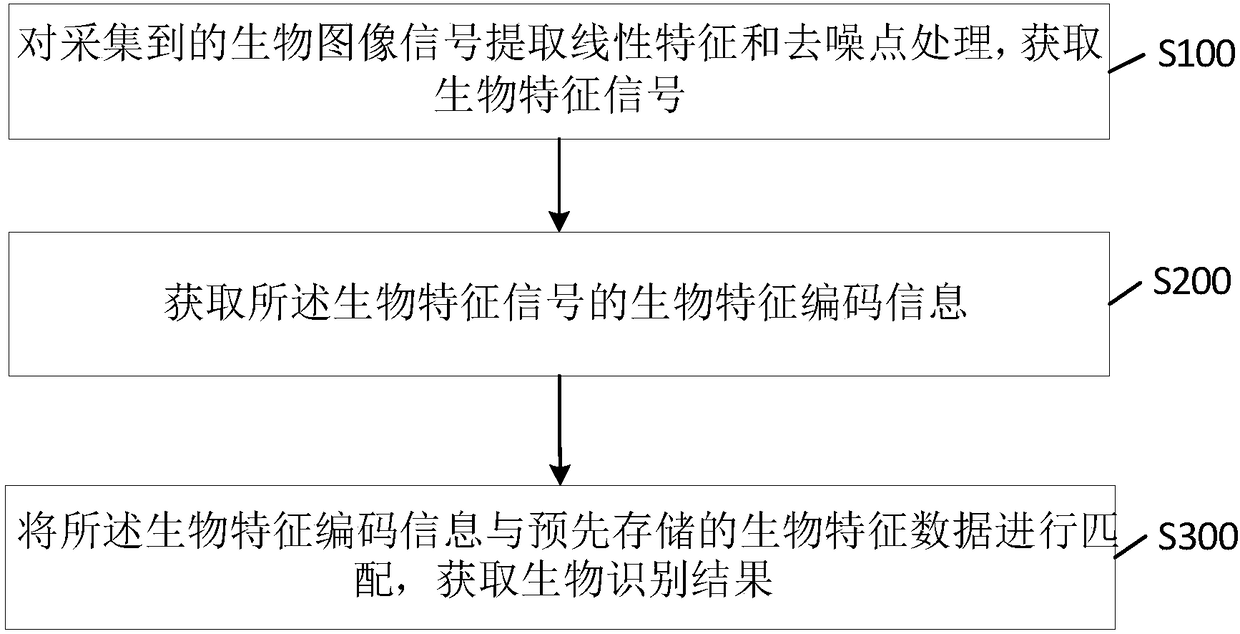 Biometric identification chip, system and method