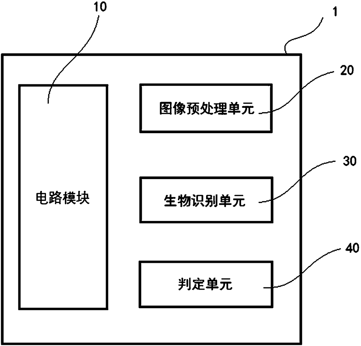 Biometric identification chip, system and method