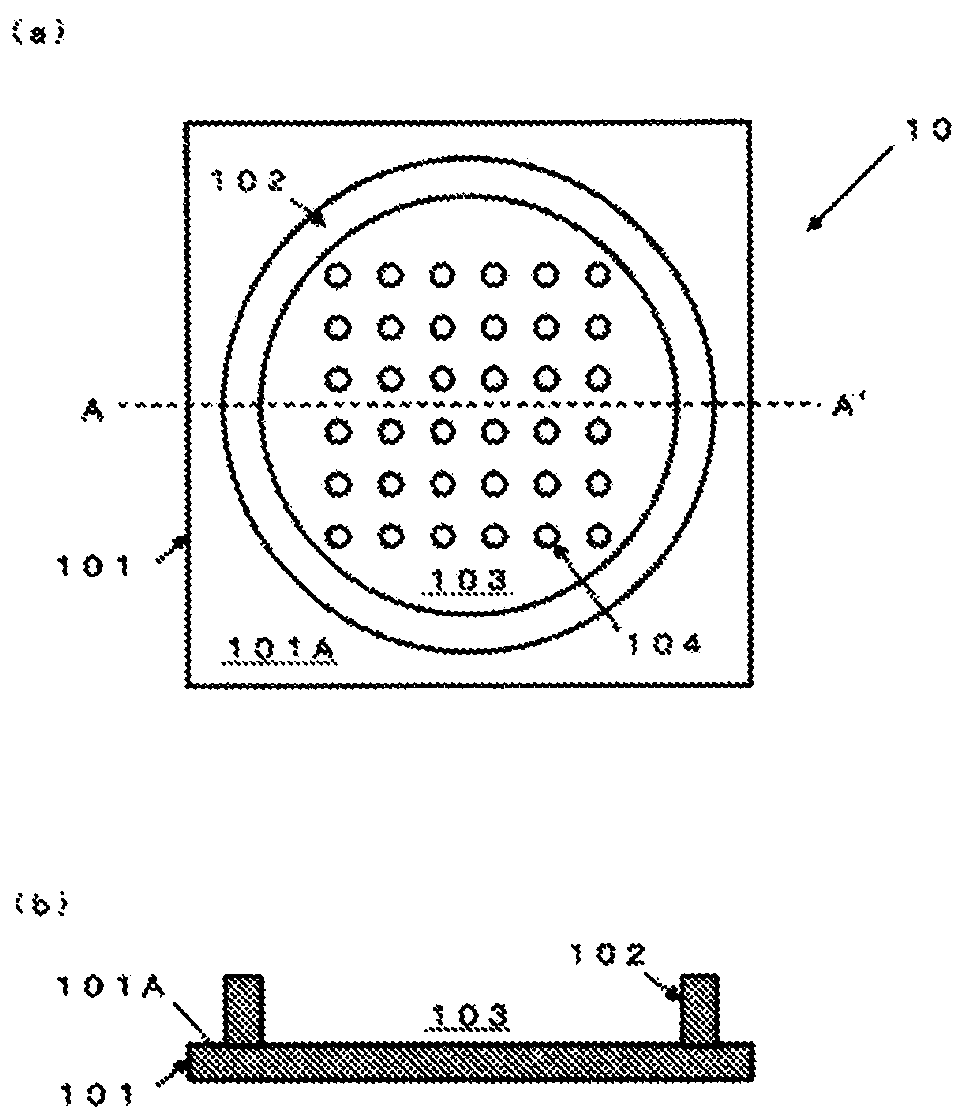 Substrate for biochip, biochip, method for manufacturing biochip, and method for preserving biochip