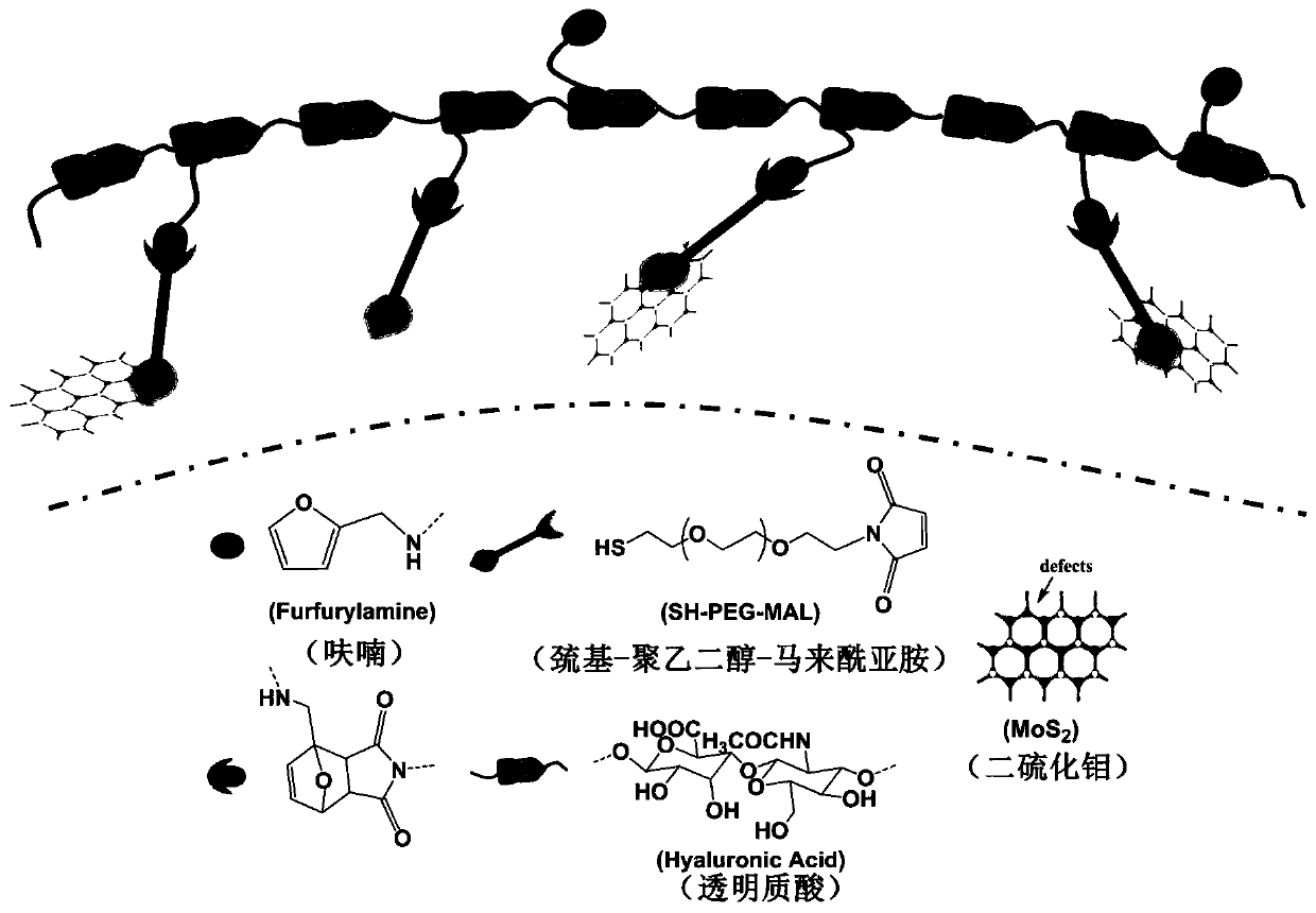 Preparation and Application of Polymer-Nanomolybdenum Disulfide Composite Hydrogel Based on Thermoreversible Diels-Alder Reaction