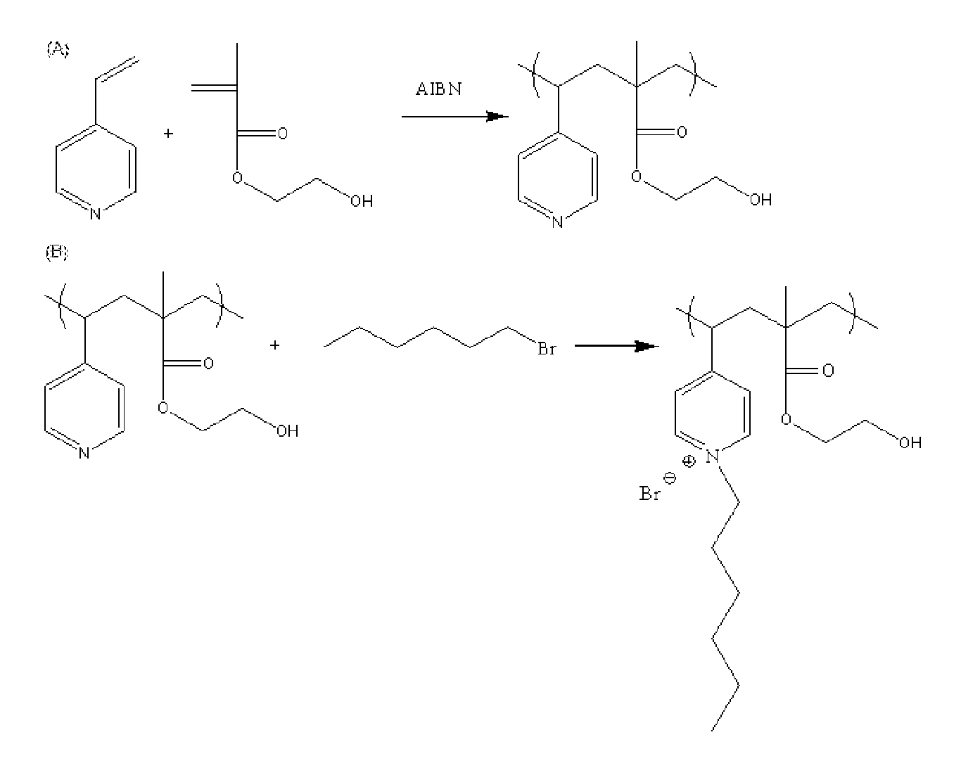 Hydrophilized antimicrobial polymers