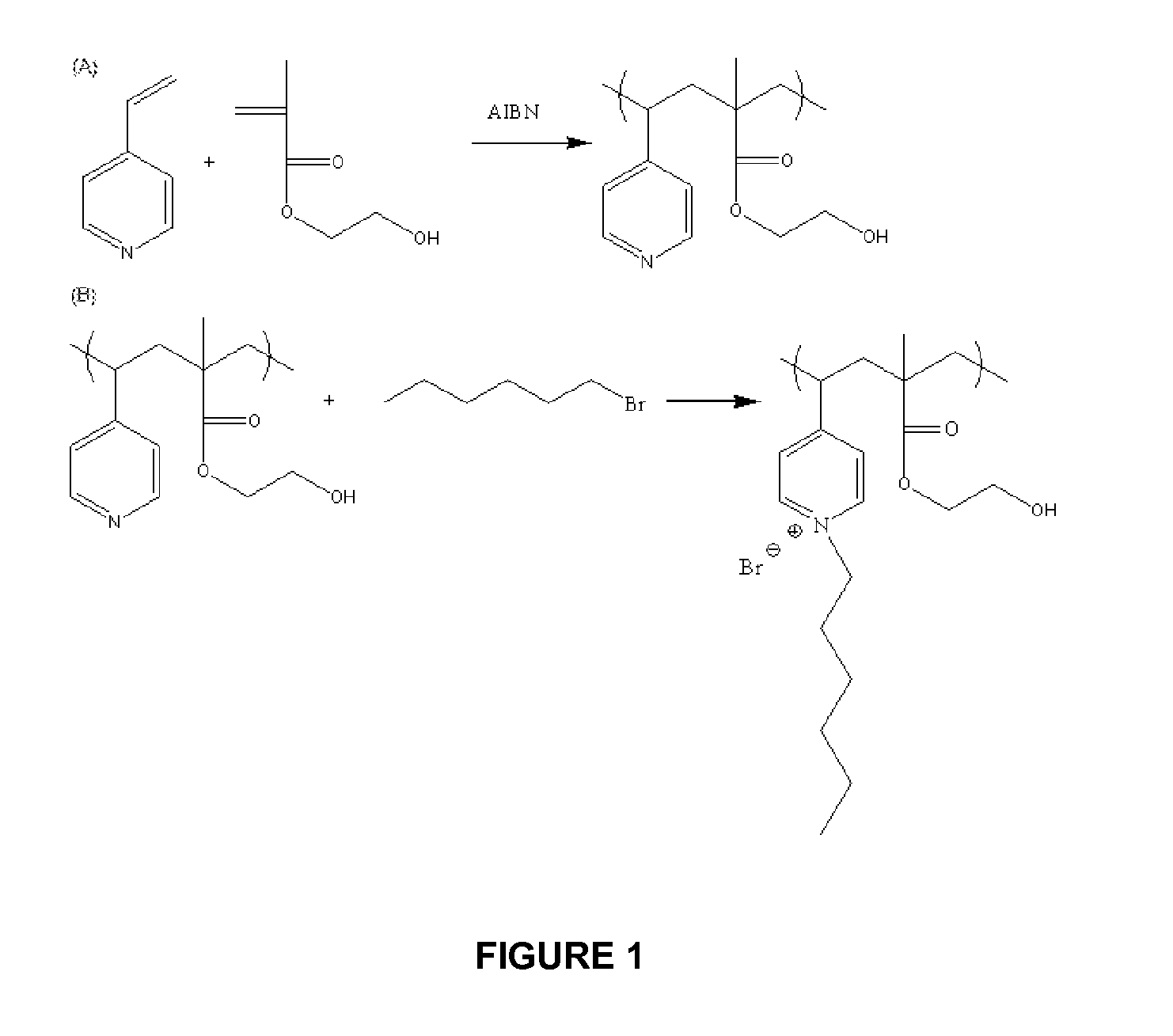 Hydrophilized antimicrobial polymers
