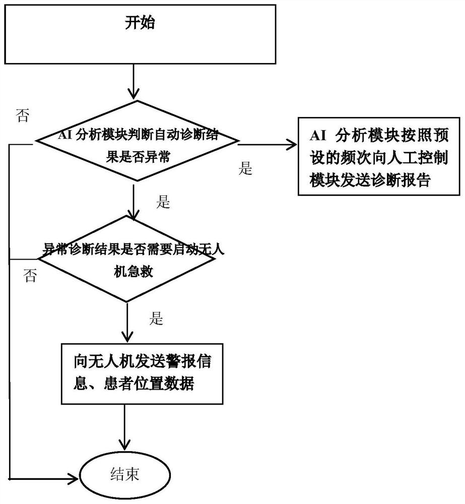 Remote monitoring emergency system