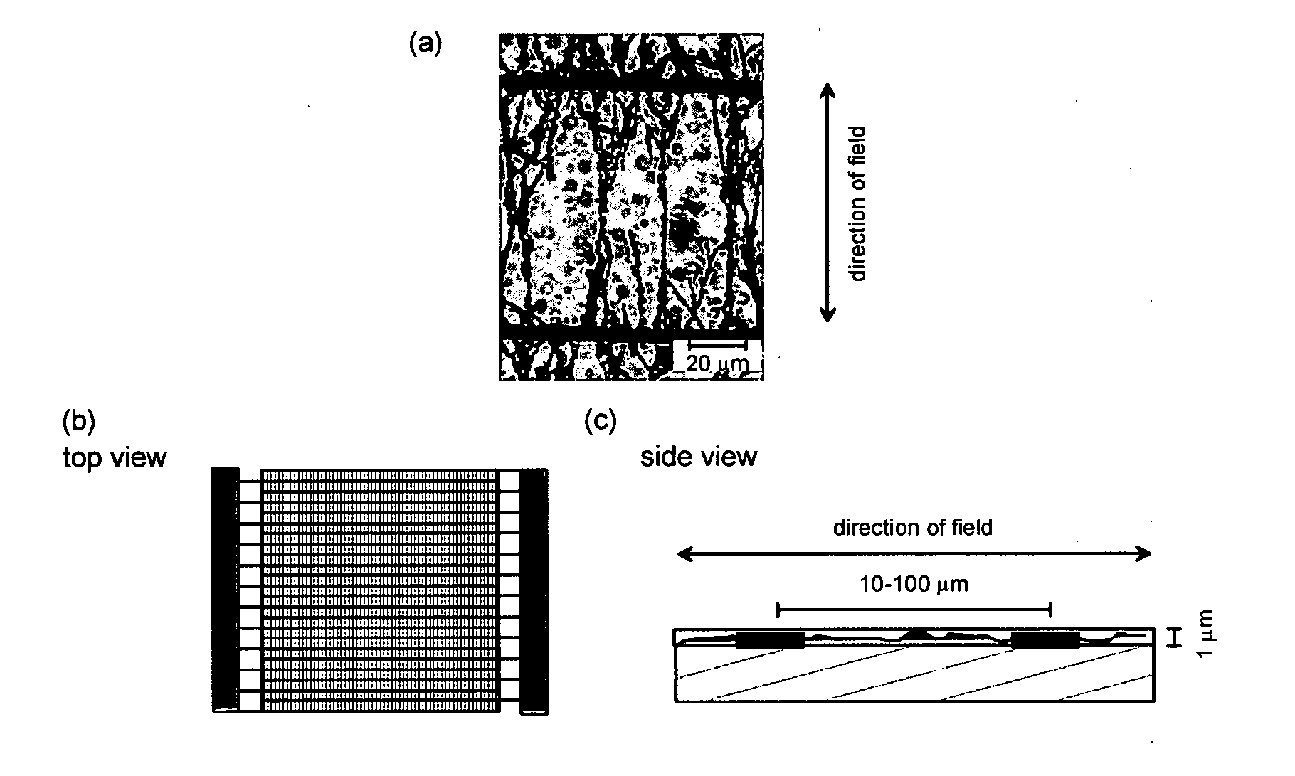 Electrostatic discharge device and method for manufacturing the same
