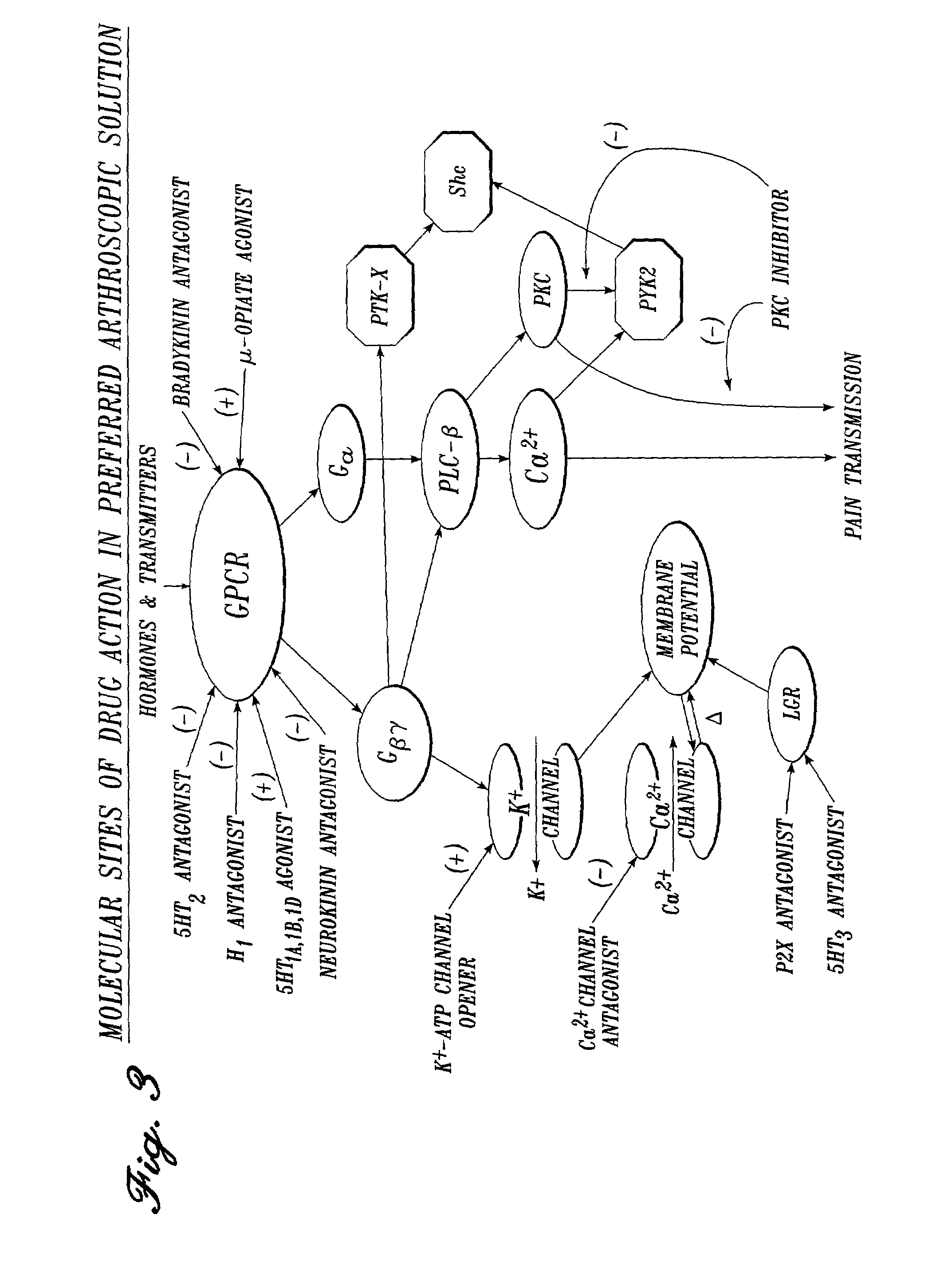 Method of inhibition of pain and inflammation during surgery comprising administration of soluble TNF receptors