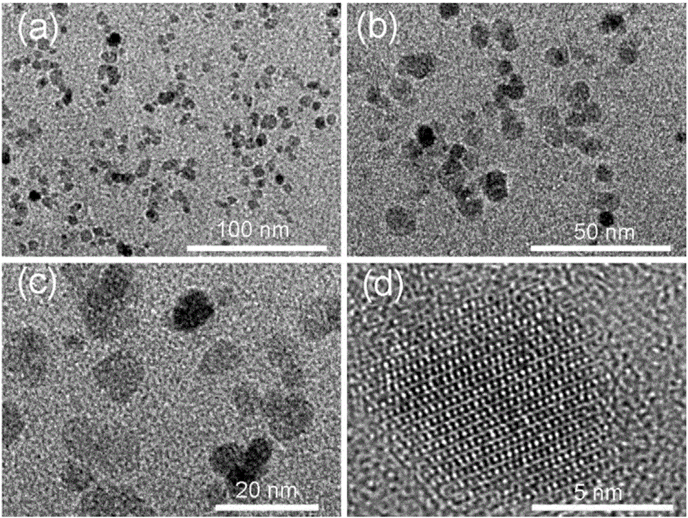 Bovine serum albumin coated ferriferrous oxide nano-particle T1-MRI (Magnetic Resonance Imaging) contrast medium and preparation method thereof