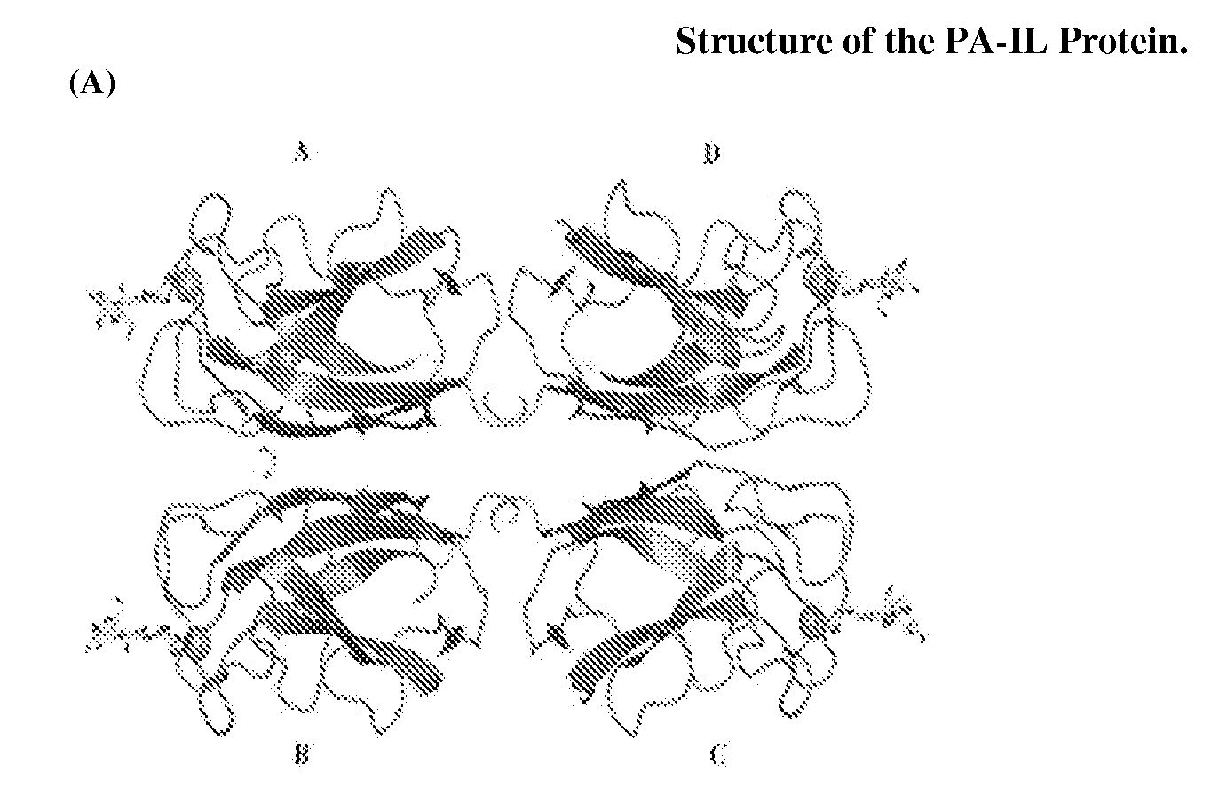 Peptide Analogues of PA-IL and Their Utility for Glycan and Glycoconjugate Analysis and Purification