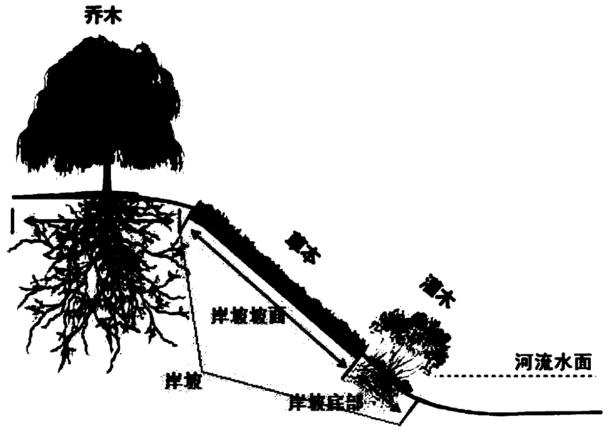 Method for northern low hilly area river bank side zone ecological construction