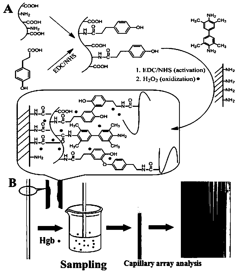 Preparation method and application of a capillary array for rapid detection of occult blood