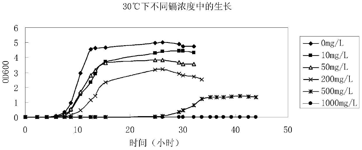 Compound microorganism environment-friendly fertilizer and preparation method thereof