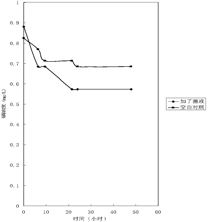 Compound microorganism environment-friendly fertilizer and preparation method thereof