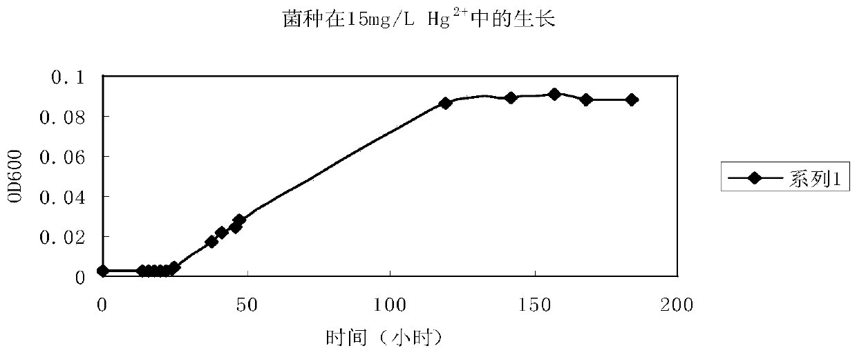 Compound microorganism environment-friendly fertilizer and preparation method thereof