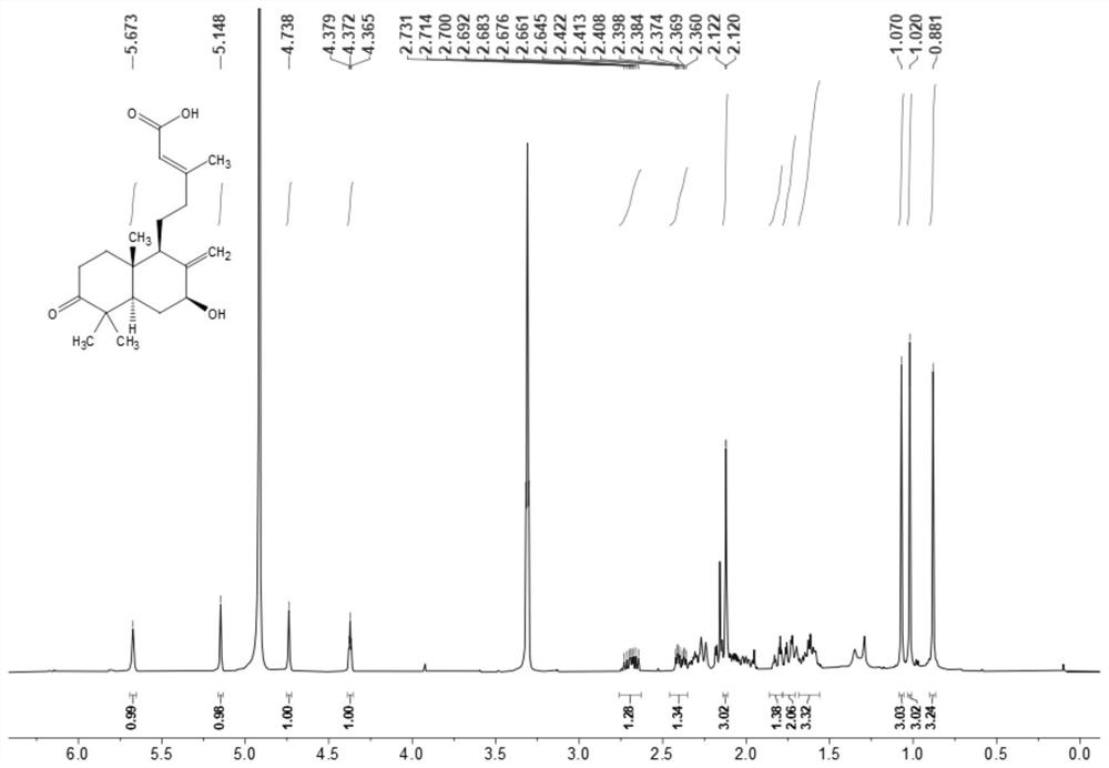 Oxidized labdane diterpenoid compound as well as separation method and application thereof