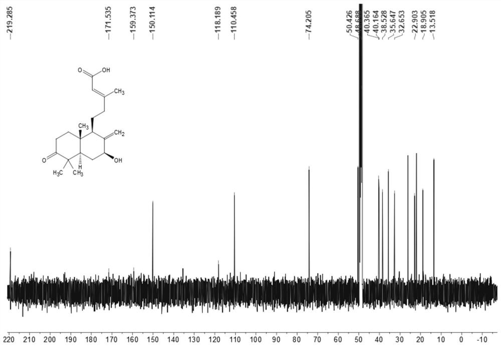 Oxidized labdane diterpenoid compound as well as separation method and application thereof