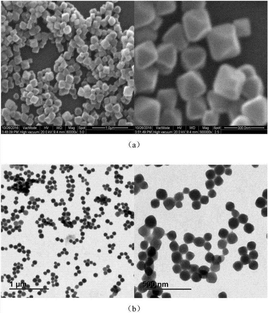Surface functionalization modification method for metal organic framework (MOF) material based on liposome membrane