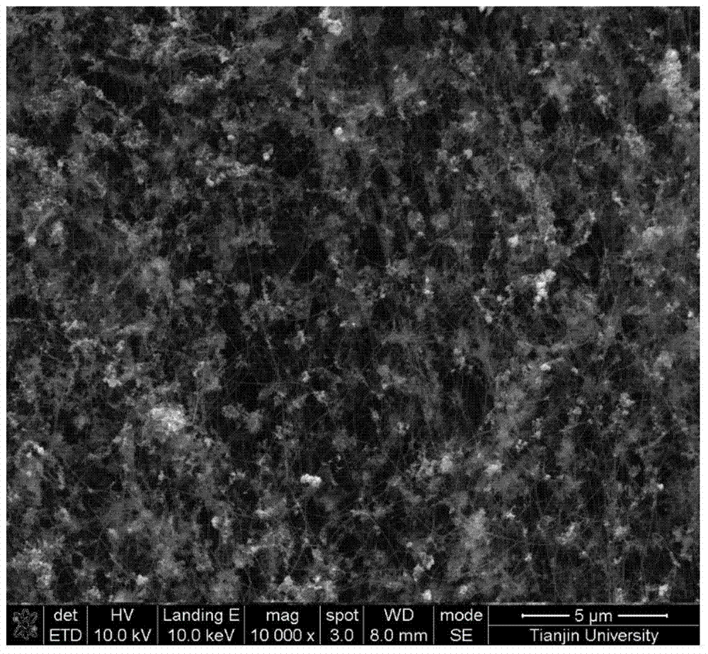 Preparation method of ferric oxide/carbon nanotube lithium ion battery anode material