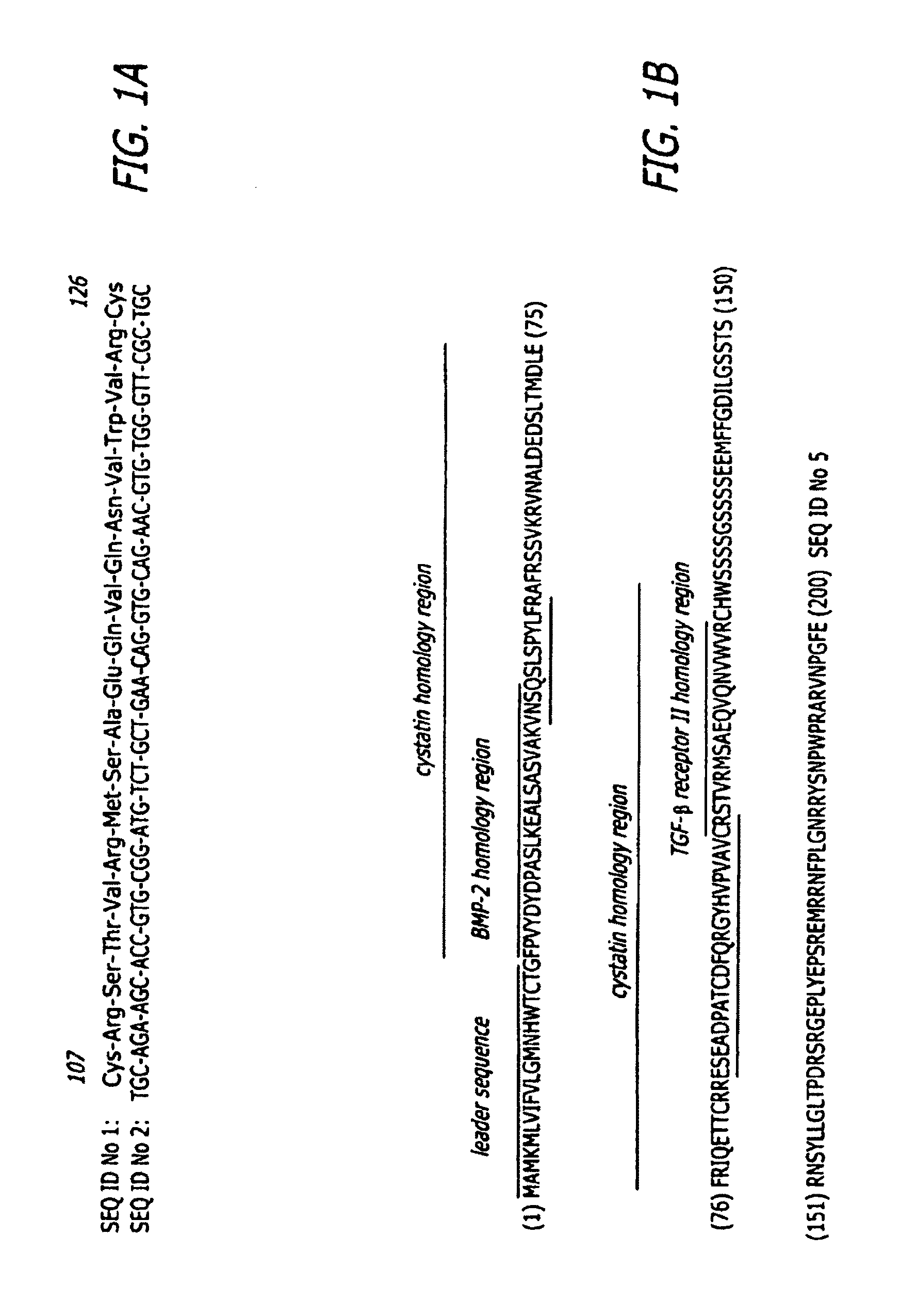 Surgical applications for BMP binding protein