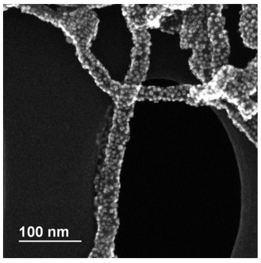 Carbon nanotube surface loaded nano cobalt trioxide composite material and preparation method thereof