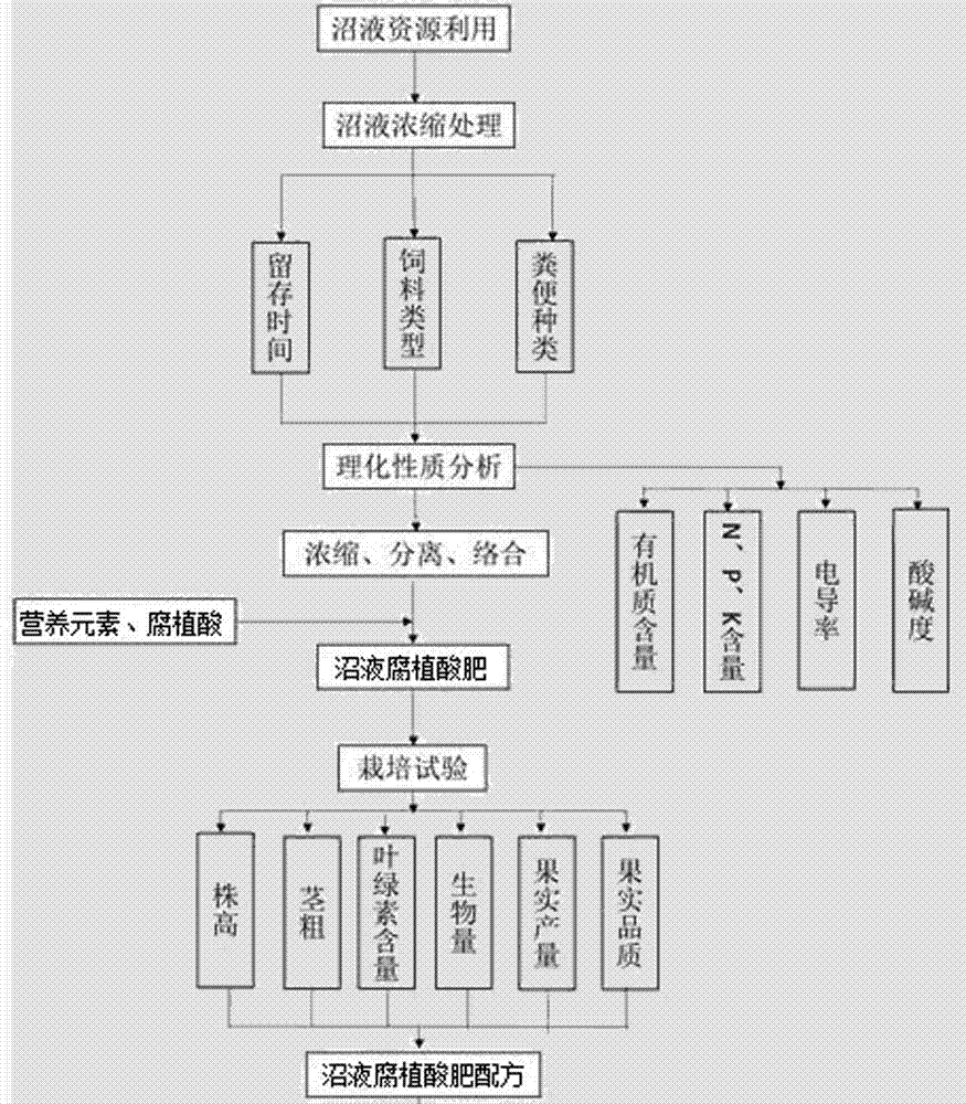 Efficient humic acid fertilizer prepared by using concentrated biogas slurry, and application of efficient humic acid fertilizer