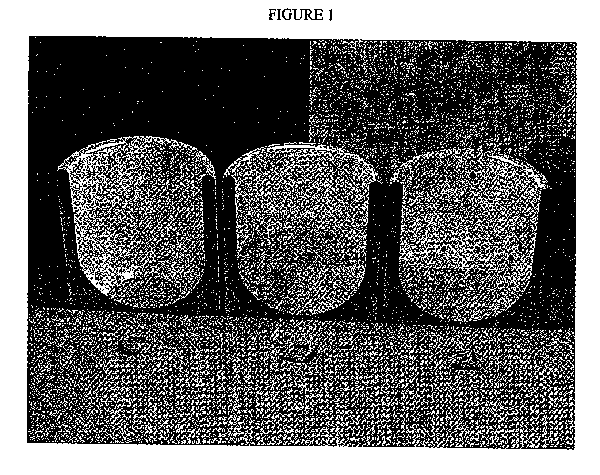 Loadable polymeric particles for therapeutic and/or diagnostic applications and methods of preparing and using the same