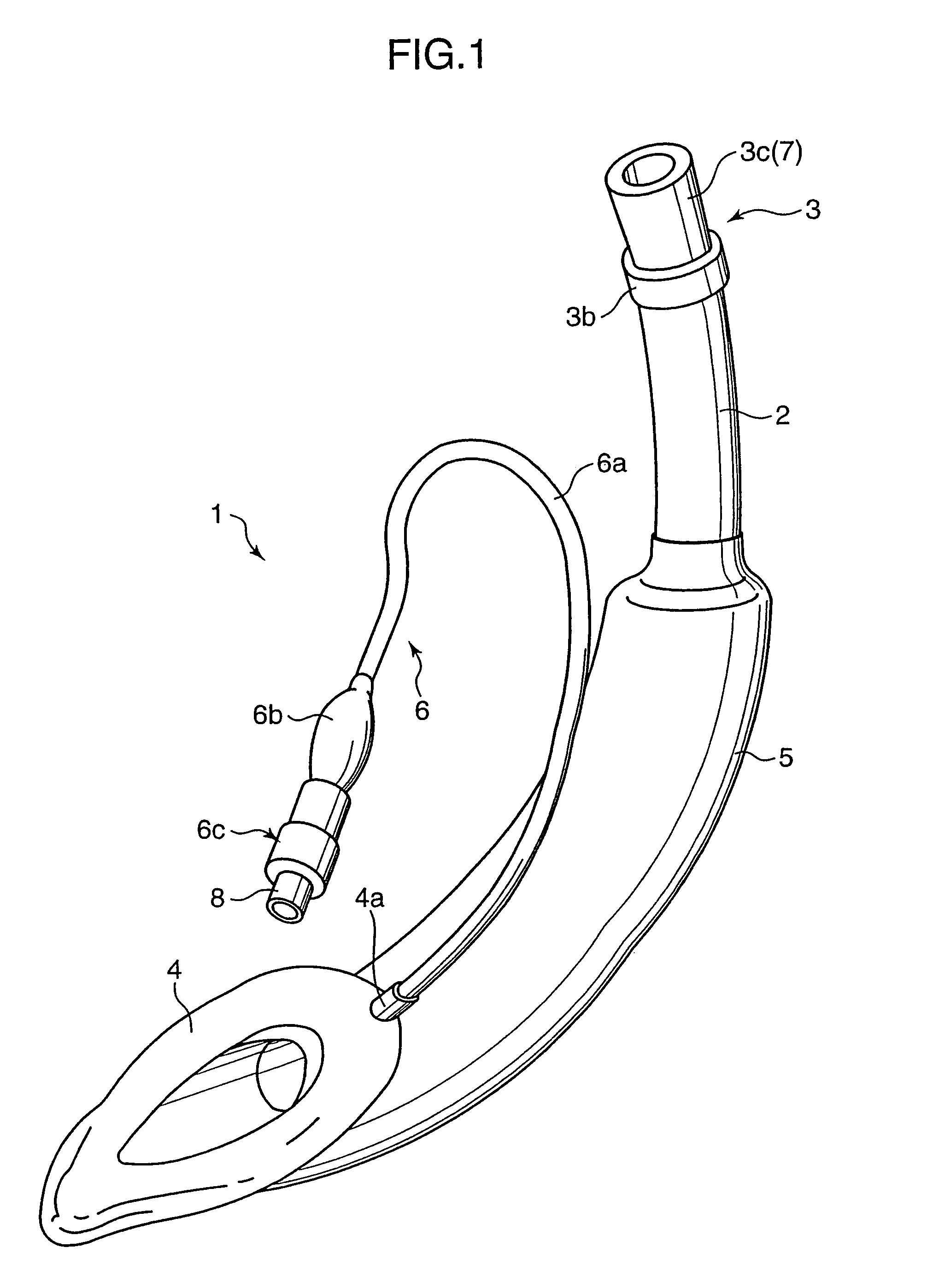 Brain cooling apparatus and fluid injection apparatus used therefor