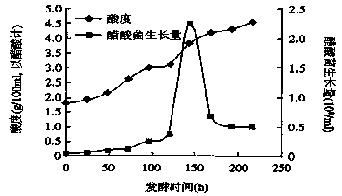 Preparation technology of papaya fermented vinegar