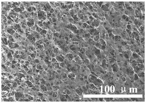 A kind of carbon sponge and its preparation method and pressure sensor