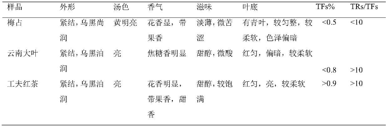 Congou black tea and preparation method thereof