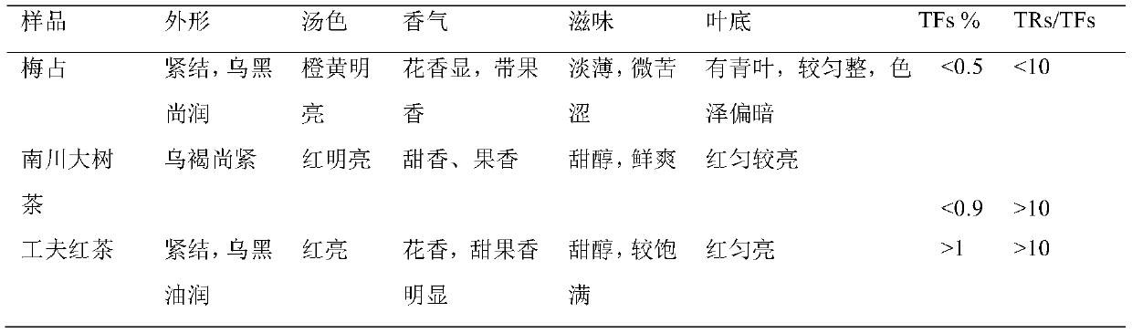 Congou black tea and preparation method thereof