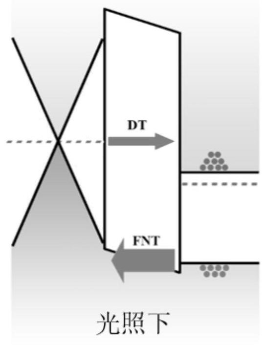 Tunneling type photoelectric detector based on Van der Waals heterojunction and preparation method thereof