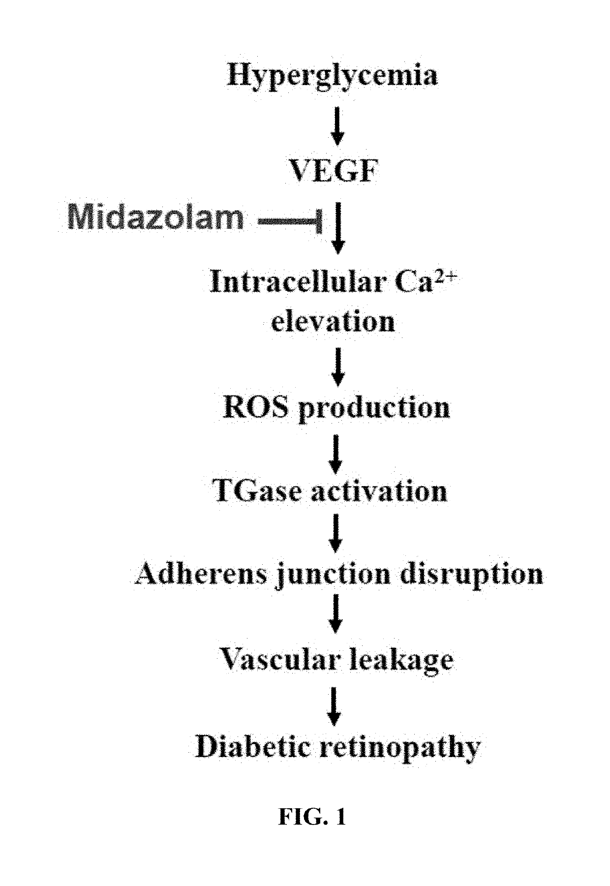 Method for prevention or treatment of diabetic complications